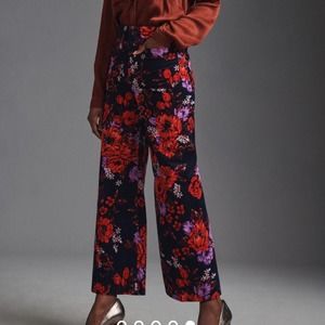 Anthropologie Maeve the Collette wide leg floral velvet pants plus size 33